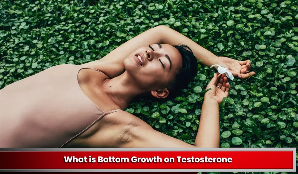 What is Bottom Growth on Testosterone